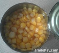 https://www.tradekey.com/product_view/Canned-Sweet-Corn-Kernel-3525760.html