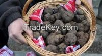 truffles