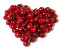 Cranberry Extract PAC 5%-50%