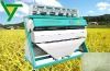 Y 440 Rice Color Sorter & Selector