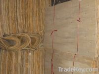 Eucalyptus core veneer