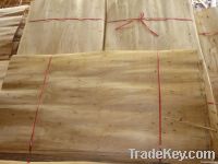 Eucalyptus core veneer