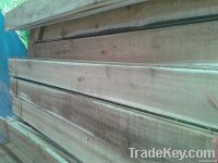 Acacia timber for pallet