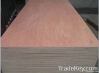 Commercial plywood