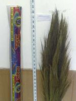Grass broom India