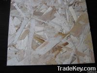 Plain Oriented Strand Board