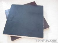 Film Faced Plywood