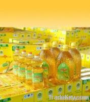 Palm Oil, Sunflower Oil, Soybean Oil & Corn Oil