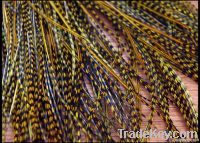 Grizzly Rooster Feather For Hair Extension