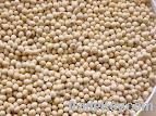 Soya Bean Fatty Acid