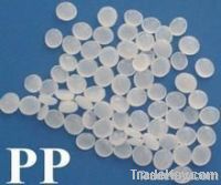 Polypropylene