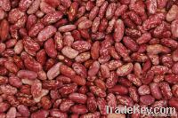 Light Speckled Kidney Beans(Cranberry)