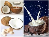 https://ar.tradekey.com/product_view/Canned-Coconut-Milk-3603971.html