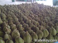 Fresh Durian