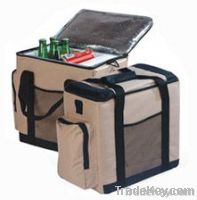 Thermoelectric cooler bag
