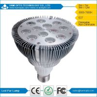 Led Par Light