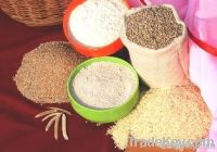 guar gum powder