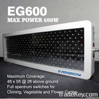 600w led grow light for marijuana