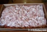  Export Chicken Paw | Chicken Feet Suppliers | Poultry Feet Exporters | Chicken Feets Traders | Processed Chicken Paw Buyers | Frozen Poultry Paw Wholesalers | Low Price Freeze Chicken Paw | Best Buy Chicken Paw | Buy Chicken Paw | Import Chicken Paw | Ch