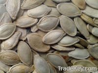 Pumpkin Seeds
