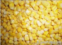IQF Sweet Corn whole kernels