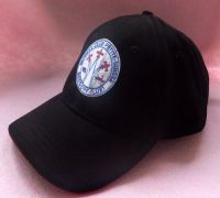 2011 Custom Embroidery Baseball Hat (20111013)