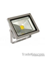 LED Floodlight