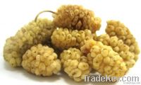 Organic Dried Mulberries