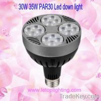 Par30 35W Led down light