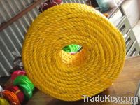 pp rope