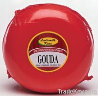 gouda cheese