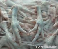  Export Chicken Paw | Chicken Feet Suppliers | Poultry Feet Exporters | Chicken Feets Traders | Processed Chicken Paw Buyers | Frozen Poultry Paw Wholesalers | Low Price Freeze Chicken Paw | Best Buy Chicken Paw | Buy Chicken Paw | Import Chicken Paw | Ch