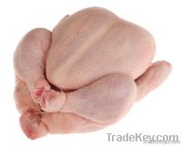 HALAL Frozen Whole Chicken | Halal Chicken Feet