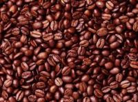 Export Coffee Beans | Coffee Bean Importer | Coffee Beans Buyer | Buy Coffee Beans | Coffee Bean Wholesaler | Coffee Bean Manufacturer | Best Coffee Bean Exporter | Low Price Coffee Beans | Best Quality Coffee Bean | Coffee Bean Supplier | Sell Coffee Bea