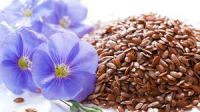 Flax Oil