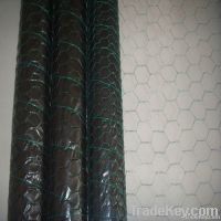 hexagonal wire mesh