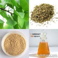 Ginkgo Biloba Extract P.E