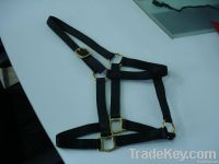 Horse halters