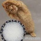 crystal cat litter