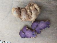 https://jp.tradekey.com/product_view/Black-Ginger-P-e-amp-amp-Kaempferia-Parviflora-Capsules-10185004.html
