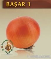 Basar1