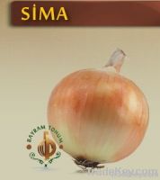 Sima Sima