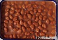 Canned Broad Beans (Foul Mdammas)