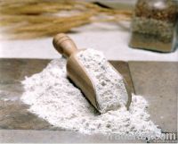 Wheat Flour