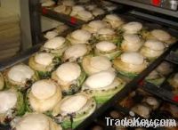 Abalone