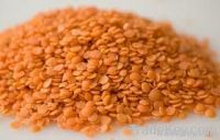 Lentils