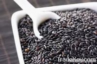 Black Rice