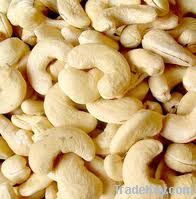 Cashew Nuts