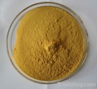 Ginkgo Biloba leaf Extract