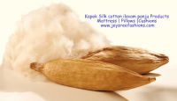 Natural Kapok Fibre